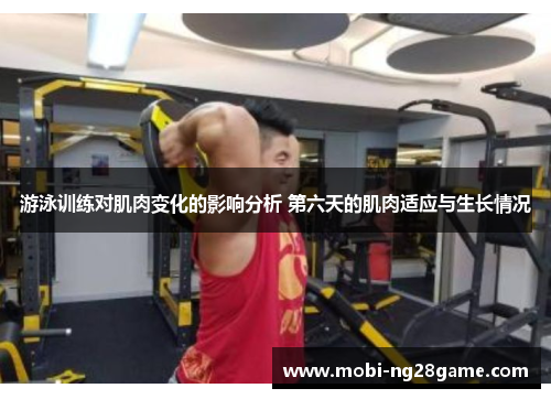 游泳训练对肌肉变化的影响分析 第六天的肌肉适应与生长情况