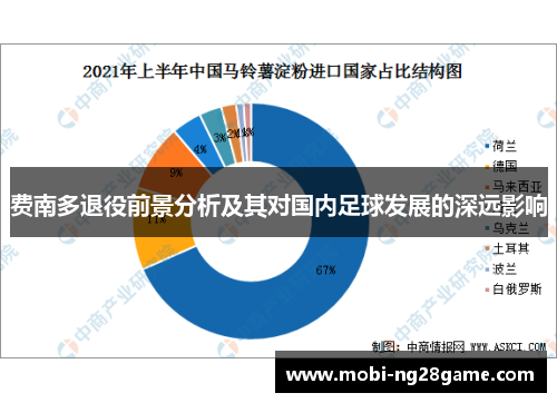 费南多退役前景分析及其对国内足球发展的深远影响